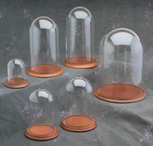 Glass Domes & Bases